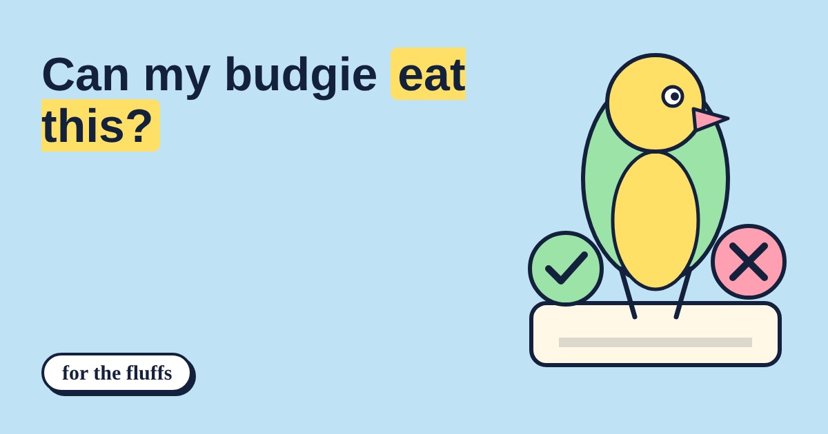 A green and yellow budgie standing between a green tick and a pink cross