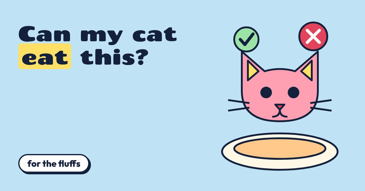 Cartoon pink cat face above an empty plate, with a green tick and a red cross