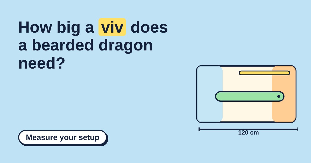 Top-down drawing of a bearded dragon vivarium with a cool end, a hot end, a UVB tube and a dragon, marked 120 cm