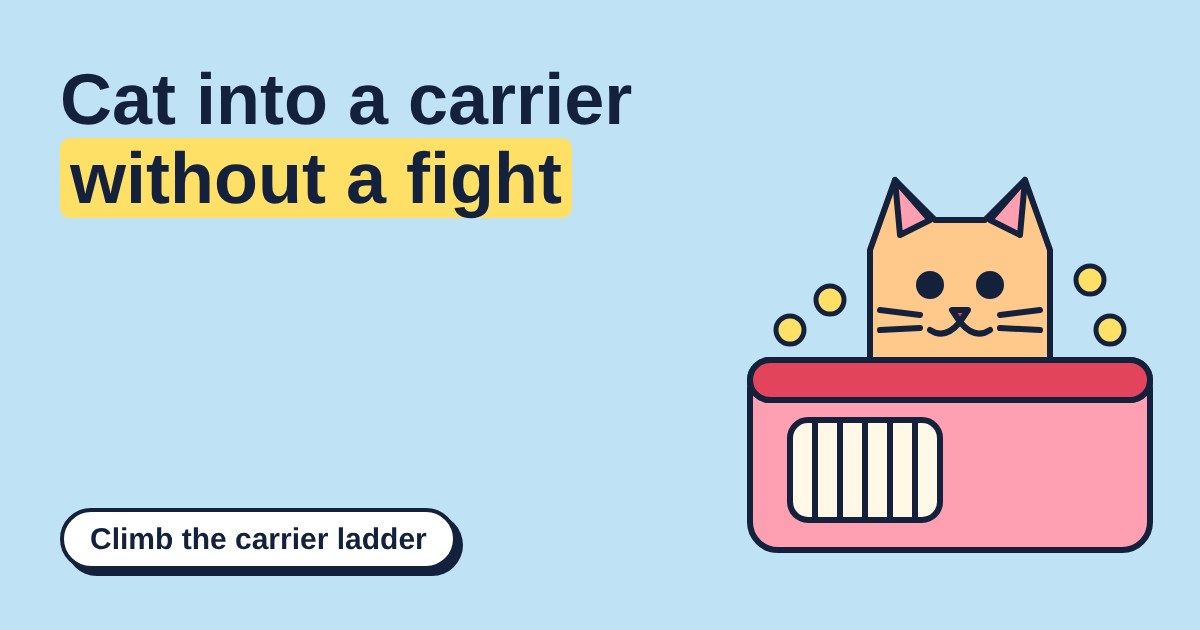 Cartoon orange cat peeking out of a pink pet carrier, with yellow treats around it