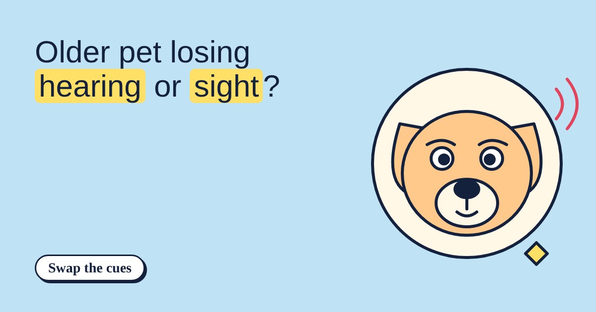 Cartoon dog with wide eyes and sound waves beside it, next to the title about older pets losing hearing or sight