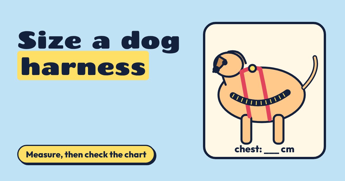 Cartoon dog wearing a red harness with a tape measure around its chest
