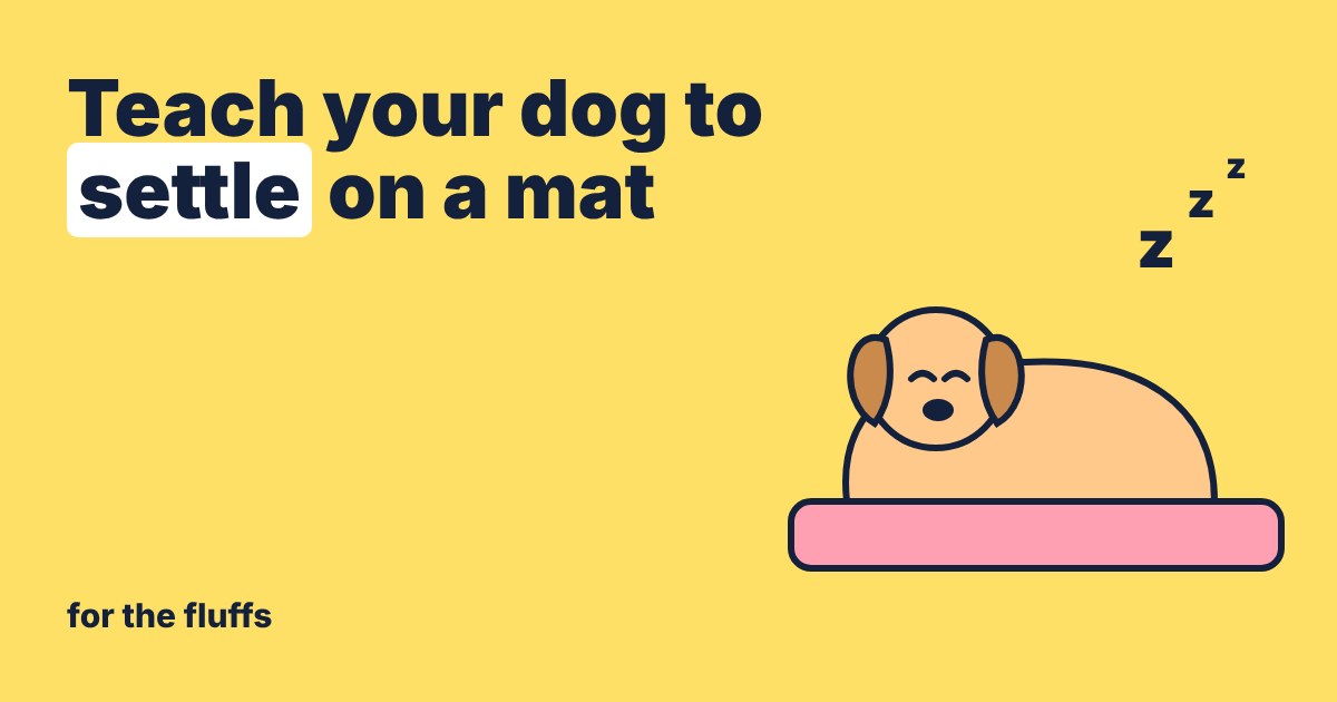 A cartoon dog curled up asleep on a pink mat with little z letters floating above