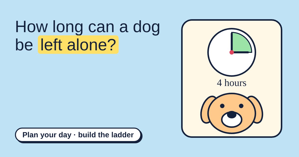 A clock showing four hours above a friendly dog face, on a sky-blue background