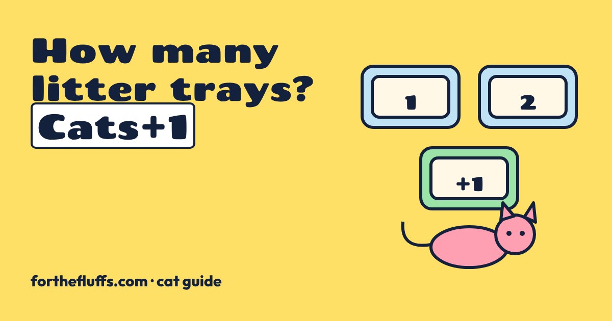 Three yellow-and-blue litter trays labelled 1, 2 and +1 beside a pink cartoon cat