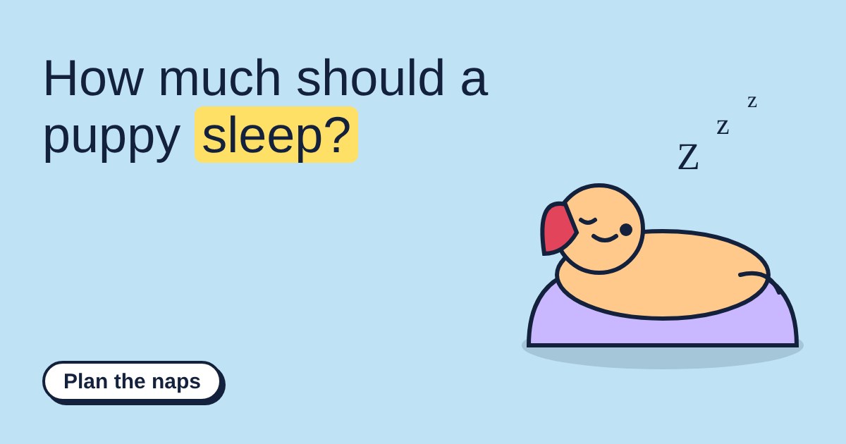 A sleepy cartoon puppy curled up on a purple bed with Z letters floating above