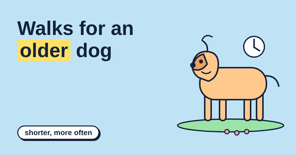 Cartoon older dog standing on a grass patch with a clock beside it, under the title Walks for an older dog
