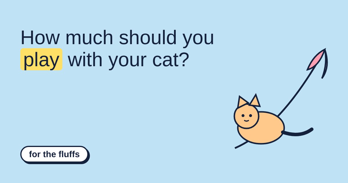 Cartoon orange cat pouncing at a feather wand toy on a sky-blue background