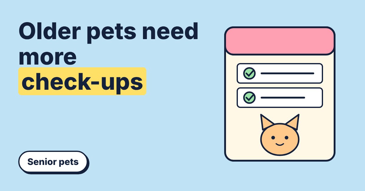 Illustration of a vet check-up checklist with ticked boxes and a smiling cat