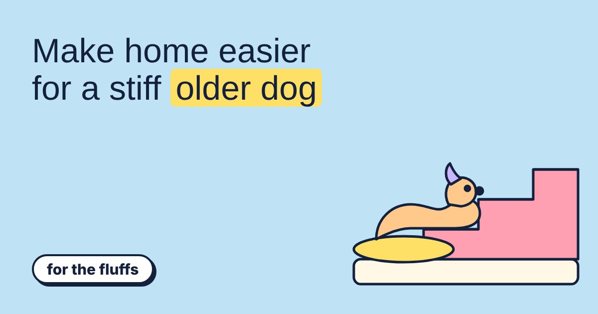 Cartoon dog resting on a cushion beside pink pet stairs