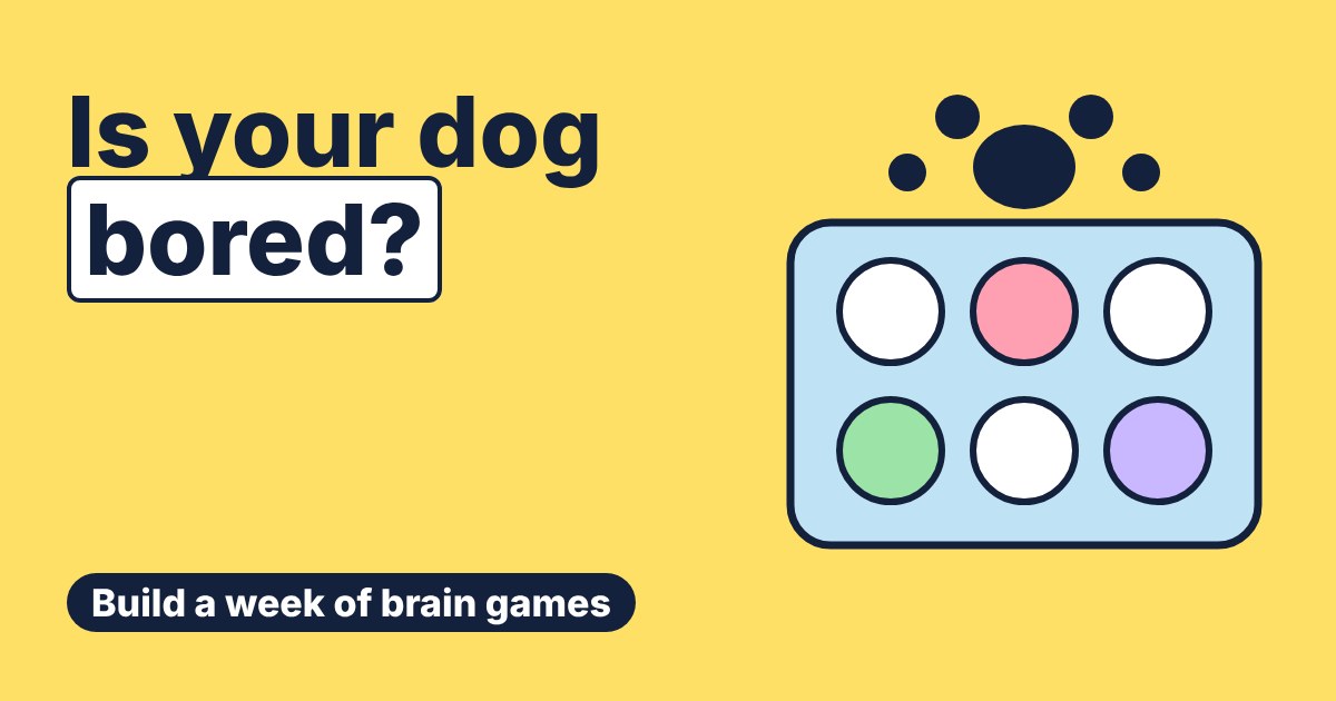 A muffin tin with six coloured balls hiding treats, under a dog paw print