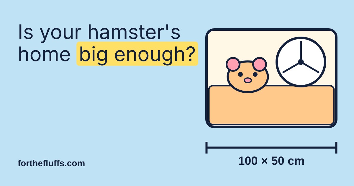 Cartoon hamster beside a running wheel in a cage, marked 100 by 50 cm