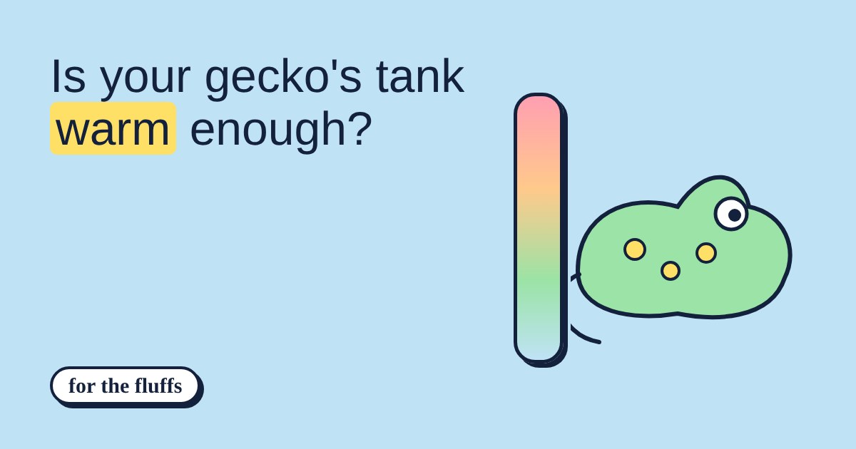 Illustration of a green cartoon gecko beside a colour-graded thermometer bar from hot to cool