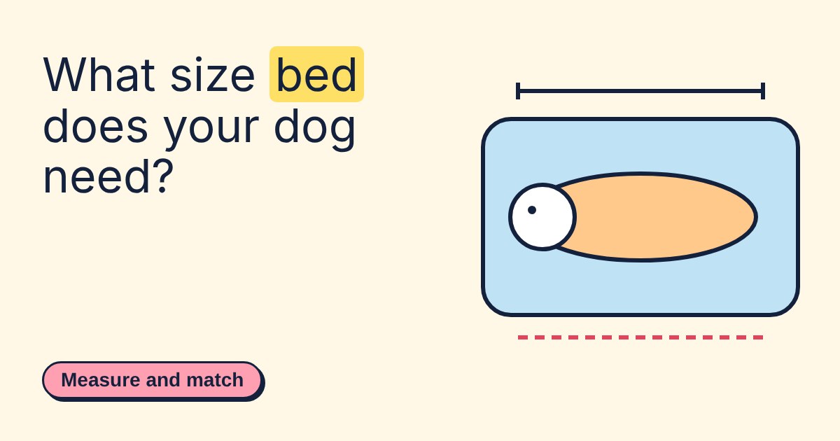 A dog drawn to scale on a blue bed, with measuring lines above and below