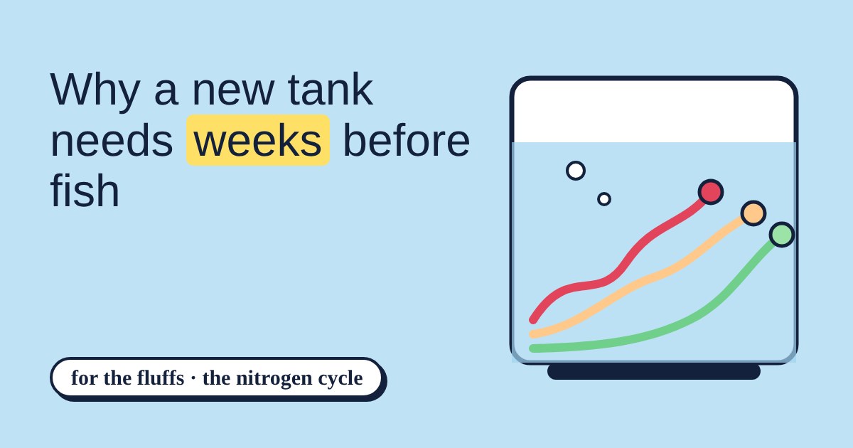 A fish tank with three curves for ammonia, nitrite and nitrate rising and falling over weeks
