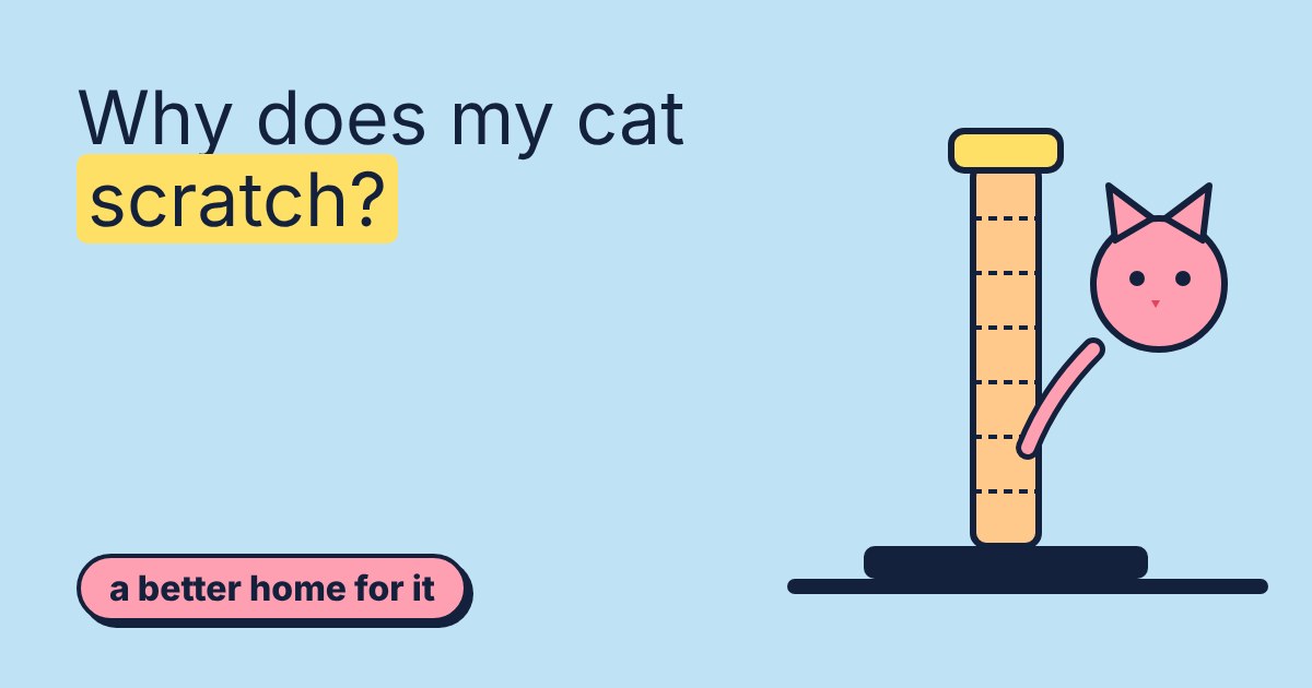 A pink cat peeking beside a tall sisal scratching post on a sky-blue background