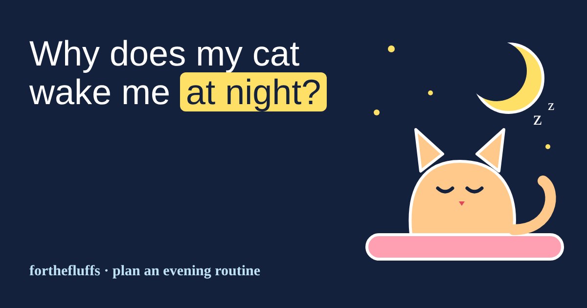 A sleeping orange cat on a pink bed under a crescent moon and stars