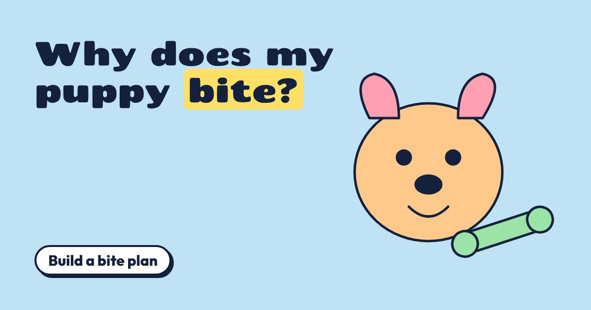 Cartoon puppy face with a green chew toy on a light blue background